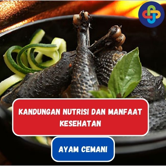 Kandungan Nutrisi dan Manfaat Daging Ayam Cemani Untuk Kesehatan